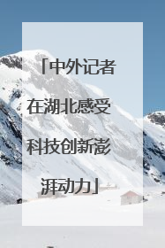 中外记者在湖北感受科技创新澎湃动力