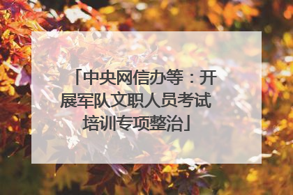中央网信办等：开展军队文职人员考试培训专项整治