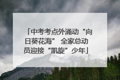 中考考点外涌动“向日葵花海” 全家总动员迎接“凯旋”少年