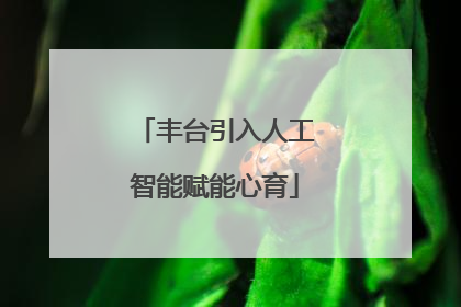 丰台引入人工智能赋能心育