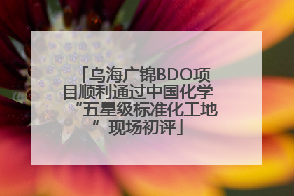 乌海广锦BDO项目顺利通过中国化学“五星级标准化工地”现场初评