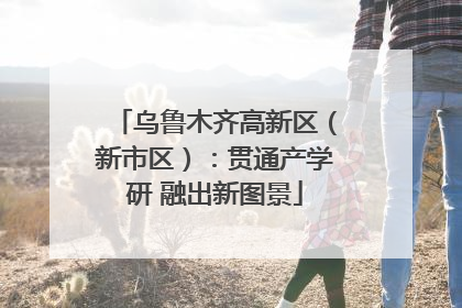 乌鲁木齐高新区（新市区）：贯通产学研 融出新图景