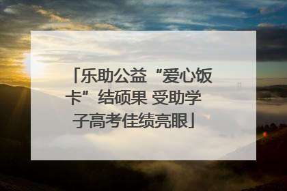 乐助公益“爱心饭卡”结硕果 受助学子高考佳绩亮眼
