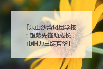 乐山沙湾凤凰学校：银龄先锋助成长，巾帼力量绽芳华
