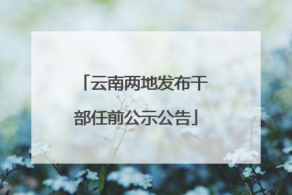 云南两地发布干部任前公示公告