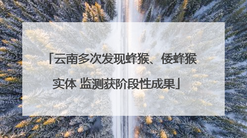 云南多次发现蜂猴、倭蜂猴实体 监测获阶段性成果