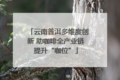 云南普洱多维度创新 助咖啡全产业链提升“咖位”