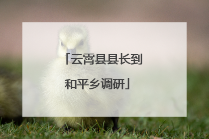 云霄县县长到和平乡调研