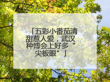 五彩小番茄清甜惹人爱，武汉种博会上好多“尖板眼”