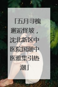 五月寻槐邂逅怪坡，沈北新区中医院国潮中医雅集引热潮