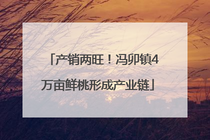 产销两旺！冯卯镇4万亩鲜桃形成产业链