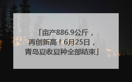 亩产886.9公斤，再创新高！6月25日，青岛夏收夏种全部结束