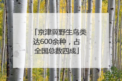 京津冀野生鸟类达600余种，占全国总数四成
