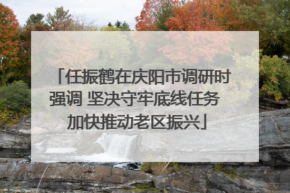 任振鹤在庆阳市调研时强调 坚决守牢底线任务 加快推动老区振兴