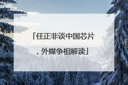 任正非谈中国芯片，外媒争相解读
