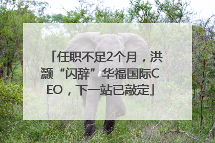 任职不足2个月，洪灏“闪辞”华福国际CEO，下一站已敲定