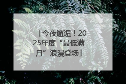 今夜邂逅！2025年度“最低满月”浪漫登场