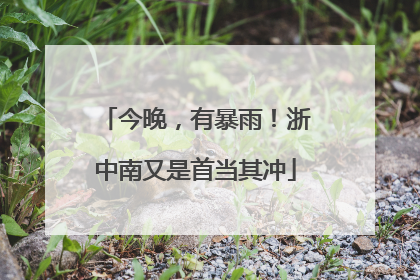 今晚，有暴雨！浙中南又是首当其冲