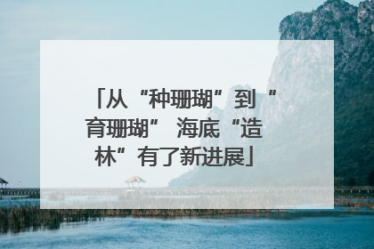从“种珊瑚”到“育珊瑚” 海底“造林”有了新进展