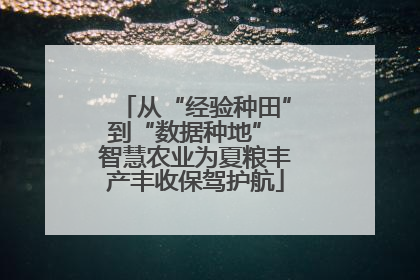 从“经验种田”到“数据种地” 智慧农业为夏粮丰产丰收保驾护航
