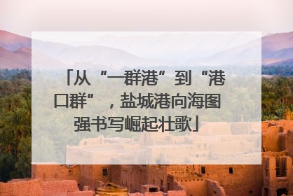 从“一群港”到“港口群”，盐城港向海图强书写崛起壮歌