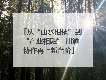 从“山水相依”到“产业相融” 川渝协作再上新台阶