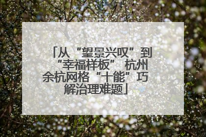 从“望景兴叹”到“幸福样板” 杭州余杭网格“十能”巧解治理难题