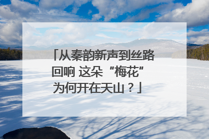 从秦韵新声到丝路回响 这朵“梅花”为何开在天山？