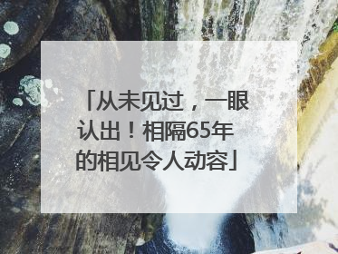 从未见过，一眼认出！相隔65年的相见令人动容