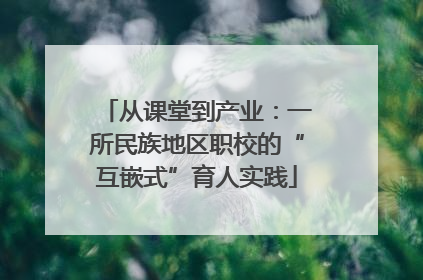 从课堂到产业：一所民族地区职校的“互嵌式”育人实践