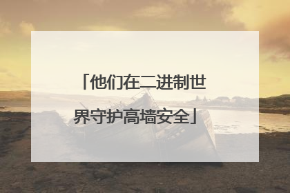 他们在二进制世界守护高墙安全