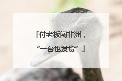 付老板闯非洲，“一台也发货”