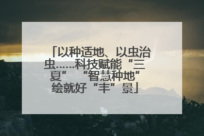 以种适地、以虫治虫……科技赋能“三夏” “智慧种地”绘就好“丰”景