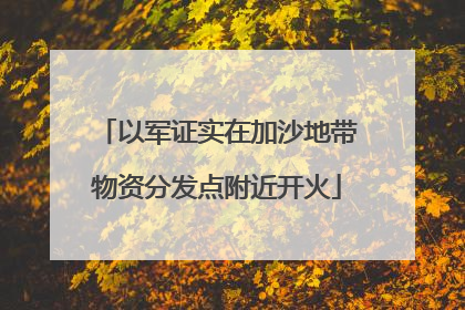 以军证实在加沙地带物资分发点附近开火