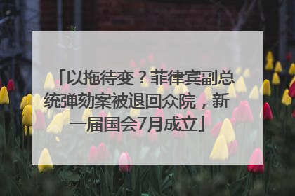 以拖待变？菲律宾副总统弹劾案被退回众院，新一届国会7月成立