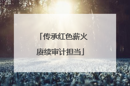 传承红色薪火 赓续审计担当