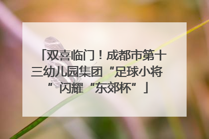 双喜临门！成都市第十三幼儿园集团“足球小将”闪耀“东郊杯”