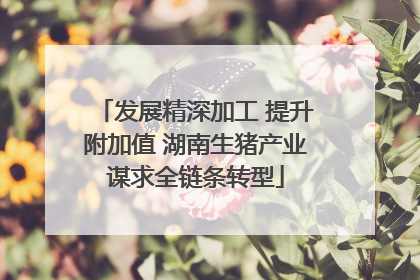 发展精深加工 提升附加值 湖南生猪产业谋求全链条转型