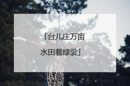 台儿庄万亩水田着绿裳