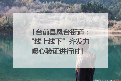 台前县凤台街道：“线上线下”齐发力 暖心验证进行时