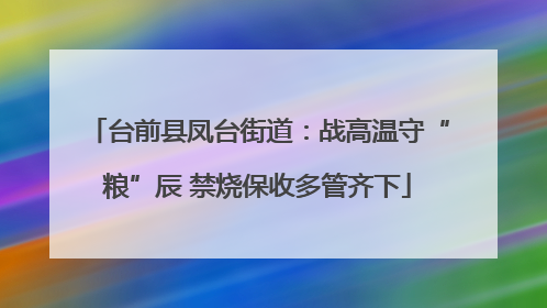 台前县凤台街道：战高温守“粮”辰 禁烧保收多管齐下