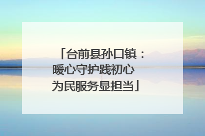 台前县孙口镇：暖心守护践初心 为民服务显担当