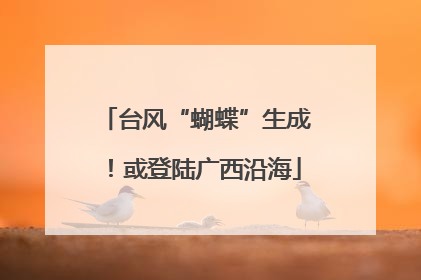 台风“蝴蝶”生成！或登陆广西沿海