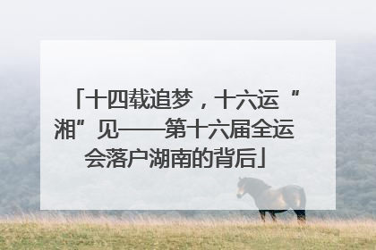 十四载追梦，十六运“湘”见——第十六届全运会落户湖南的背后