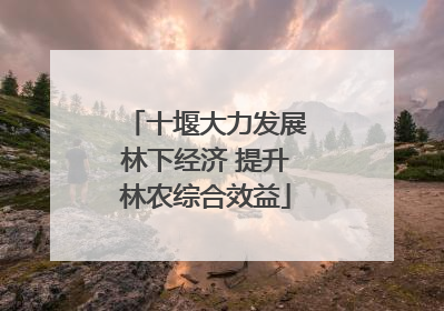 十堰大力发展林下经济 提升林农综合效益