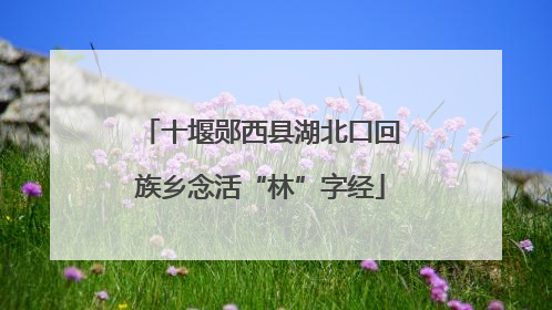 十堰郧西县湖北口回族乡念活“林”字经