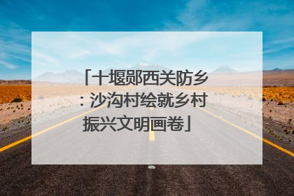 十堰郧西关防乡：沙沟村绘就乡村振兴文明画卷