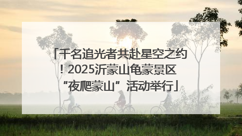 千名追光者共赴星空之约！2025沂蒙山龟蒙景区“夜爬蒙山”活动举行