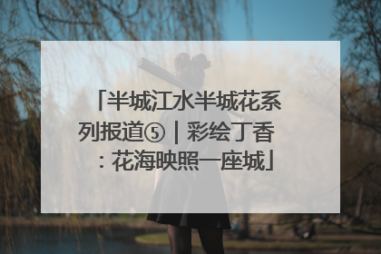 半城江水半城花系列报道⑤｜彩绘丁香：花海映照一座城