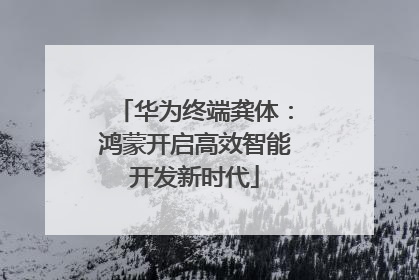 华为终端龚体：鸿蒙开启高效智能开发新时代